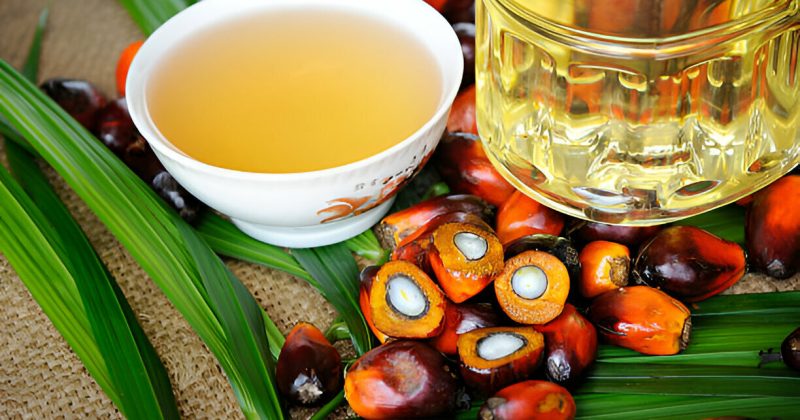 Bowl of Sule palm oil next to fresh palm fruit on a textured surface with green leaves.