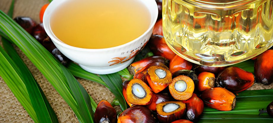 Bowl of Sule palm oil next to fresh palm fruit on a textured surface with green leaves.